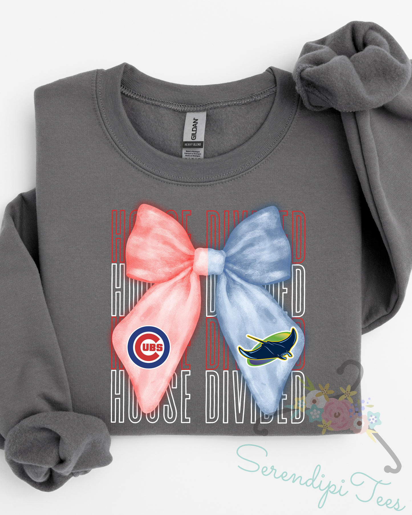 House Divided Custom