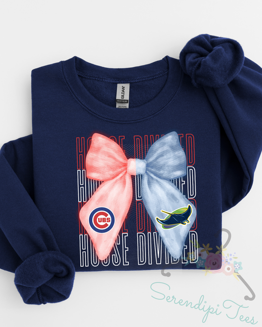 House Divided Custom